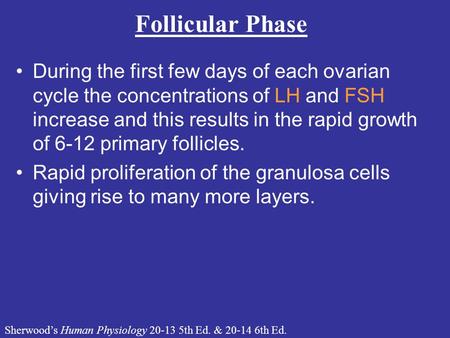 Sherwood’s Human Physiology 20-13 5th Ed. & 20-14 6th Ed. Follicular Phase During the first few days of each ovarian cycle the concentrations of LH and.