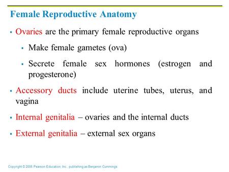 Copyright © 2006 Pearson Education, Inc., publishing as Benjamin Cummings Female Reproductive Anatomy  Ovaries are the primary female reproductive organs.