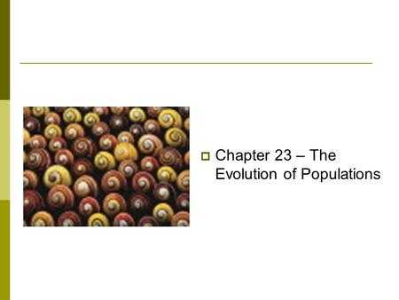 Chapter 23 – The Evolution of Populations