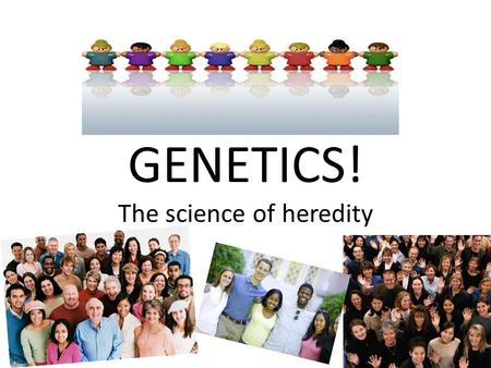 GENETICS! The science of heredity. Foundation of Genetics Monohybrid cross—single-trait cross Dihybrid cross—double-trait cross.