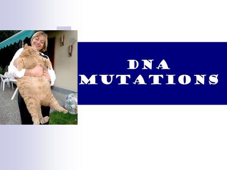 DNA Mutations.