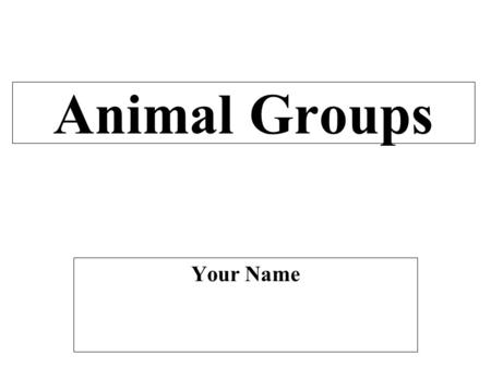 Animal Groups Your Name.