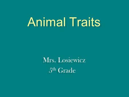 Animal Traits Mrs. Losiewicz 5th Grade.