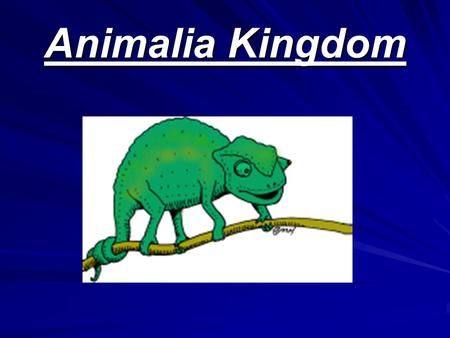Animalia Kingdom. Two Phyla Kingdom Animalia Vertebrate(Backbone) Invertebrates (No Backbone)