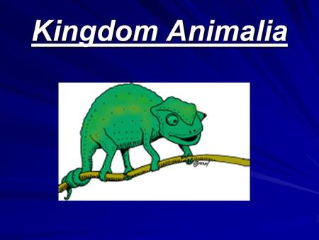 Kingdom Animalia. Two Phyla Kingdom Animalia Vertebrate(Backbone) Invertebrates (No Backbone)