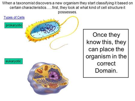 When a taxonomist discovers a new organism they start classifying it based on certain characteristics…..first, they look at what kind of cell structure.