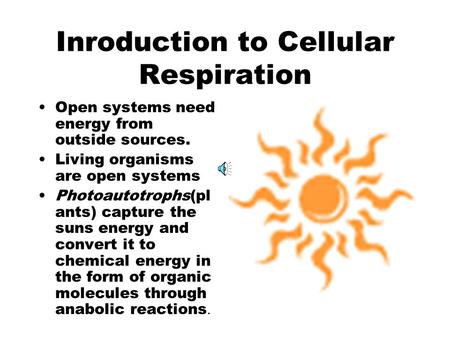 Inroduction to Cellular Respiration Open systems need energy from outside sources. Living organisms are open systems Photoautotrophs(pl ants) capture.