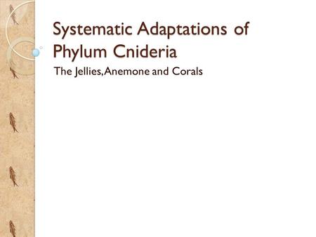 Systematic Adaptations of Phylum Cnideria