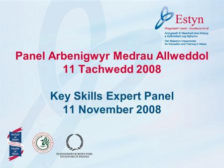 Panel Arbenigwyr Medrau Allweddol 11 Tachwedd 2008 Key Skills Expert Panel 11 November 2008.