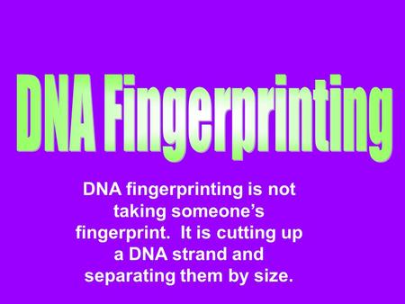 DNA fingerprinting is not taking someone’s fingerprint. It is cutting up a DNA strand and separating them by size.