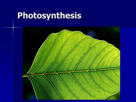 Photosynthesis. How do we grow a plant? But is that all????
