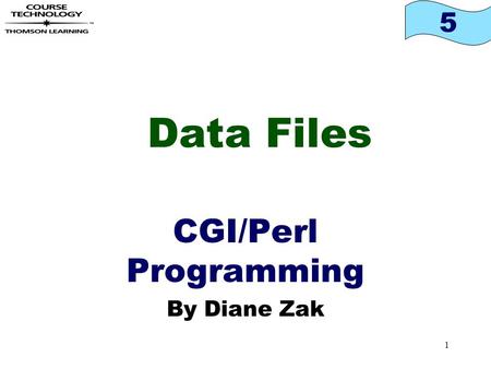 5 1 Data Files CGI/Perl Programming By Diane Zak.