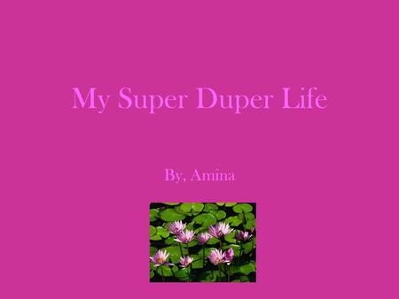 My Super Duper Life By, Amina.