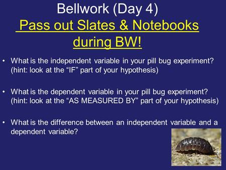 Bellwork (Day 4) Pass out Slates & Notebooks during BW! What is the independent variable in your pill bug experiment? (hint: look at the “IF” part of your.
