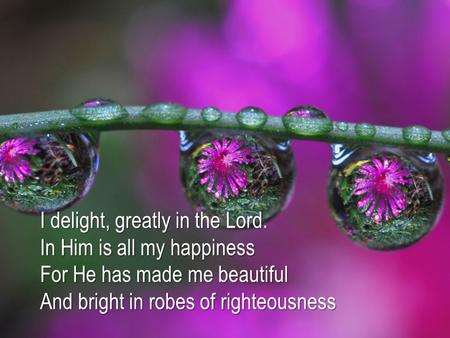 I delight, greatly in the Lord.
