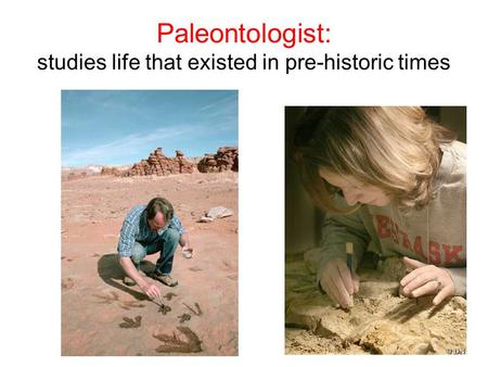 Paleontologist: studies life that existed in pre-historic times.