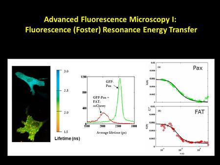 FAT 3.0 1.5 2.5 2.0 Average lifetime (ps) GFP- Pax GFP-Pax + FAT- mCherry Lifetime (ns) Pax FAT Advanced Fluorescence Microscopy I: Fluorescence (Foster)