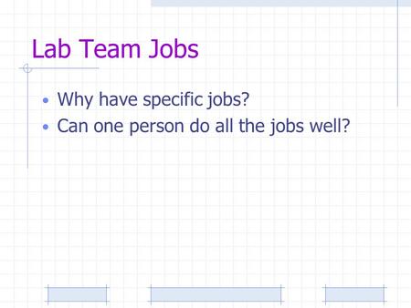 Lab Team Jobs Why have specific jobs? Can one person do all the jobs well?