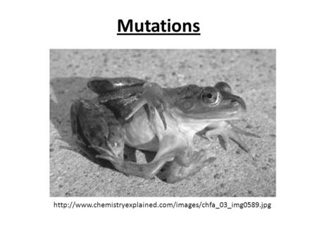 Mutations http://www.chemistryexplained.com/images/chfa_03_img0589.jpg.