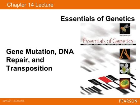 Gene Mutation, DNA Repair, and Transposition