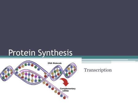 Protein Synthesis Transcription.