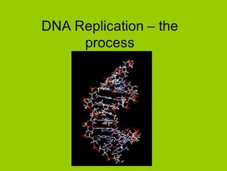 DNA Replication – the process