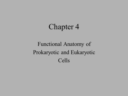 Functional Anatomy of Prokaryotic and Eukaryotic Cells