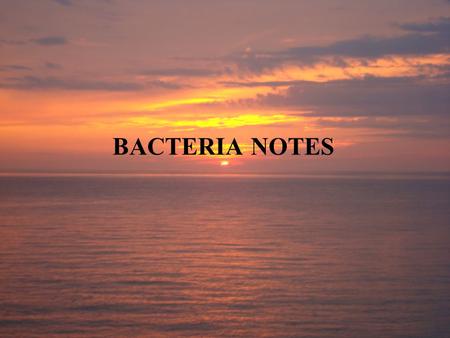 BACTERIA NOTES. 20-2 Bacteria The smallest and most common microorganisms are prokaryotes— unicellular organisms that lack a nucleus. Earliest fossils.