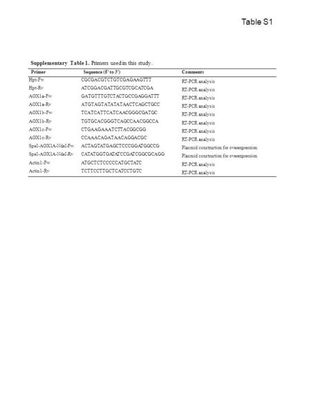 PrimerSequence (5' to 3')Comments Hpt-FwCGCGACGTCTGTCGAGAAGTTT RT-PCR analysis Hpt-RvATCGGACGATTGCGTCGCATCGA RT-PCR analysis AOX1a-FwGATGTTTGTCTACTGCCGAGGATTT.