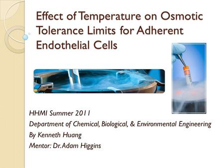 Effect of Temperature on Osmotic Tolerance Limits for Adherent Endothelial Cells HHMI Summer 2011 Department of Chemical, Biological, & Environmental Engineering.