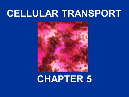CELLULAR TRANSPORT CHAPTER 5. About Cell Membranes 1.All cells have a cell ________ 2.Functions: a.Controls what enters and exits the cell to maintain.