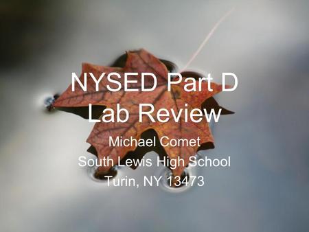 Michael Comet South Lewis High School Turin, NY 13473