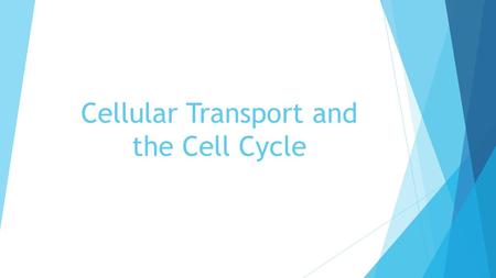 Cellular Transport and the Cell Cycle. Types of Transport  Passive Transport-requires no energy for something to move with a concentration gradient (from.