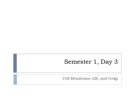 Semester 1, Day 3 Cell Membrane, ER, and Golgi. Agenda  Turn in Chapter 7 Responses  Cells Quiz  Review Macromolecules Quiz  Plasma Membrane, ER,