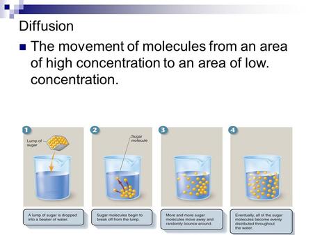 Diffusion The movement of molecules from an area of high concentration to an area of low. concentration.