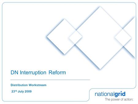 DN Interruption Reform Distribution Workstream 23 rd July 2009.
