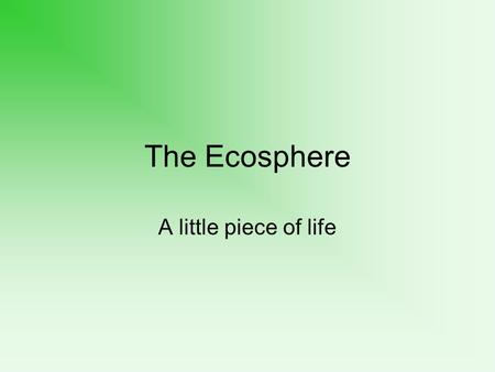 The Ecosphere A little piece of life.