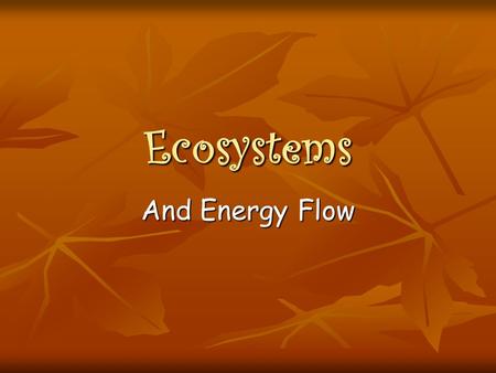 Ecosystems And Energy Flow. Ecology The study of how organisms interact with one another and with their nonliving environment The study of how organisms.