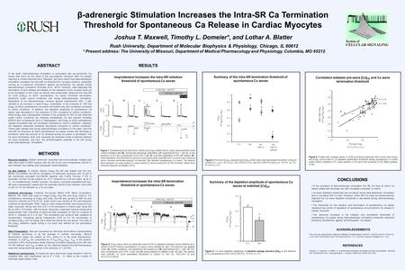 Joshua T. Maxwell, Timothy L. Domeier*, and Lothar A. Blatter β-adrenergic Stimulation Increases the Intra-SR Ca Termination Threshold for Spontaneous.