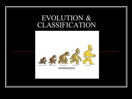 EVOLUTION & CLASSIFICATION. CLASSIFICATION Grouping organisms based on similarities. This is the science of TAXONOMY Classification is based on common.
