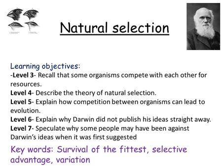 Natural selection Learning objectives: -Level 3- Recall that some organisms compete with each other for resources. Level 4- Describe the theory of natural.