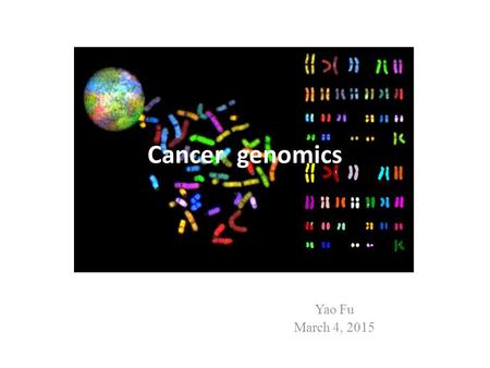 Cancer genomics Yao Fu March 4, 2015. Cancer is a genetic disease In the early 1970’s, Janet Rowley’s microscopy studies of leukemia cell chromosomes.