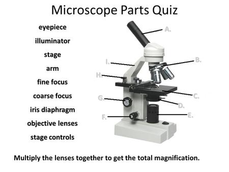 Microscope Parts Quiz Multiply the lenses together to get the total magnification. A. B. C. D. E. F. G. H. I. eyepieceilluminatorstagearm fine focus coarse.