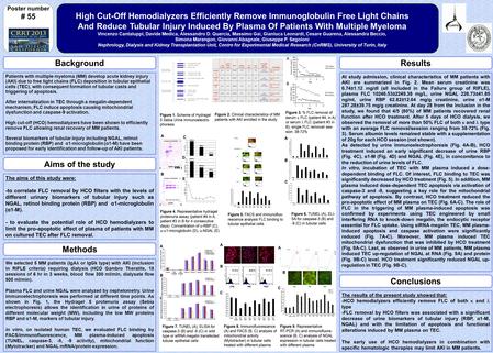 High Cut-Off Hemodialyzers Efficiently Remove Immunoglobulin Free Light Chains And Reduce Tubular Injury Induced By Plasma Of Patients With Multiple Myeloma.