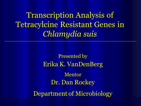Transcription Analysis of Tetracylcine Resistant Genes in Chlamydia suis Presented by Erika K. VanDenBerg Mentor Dr. Dan Rockey Department of Microbiology.