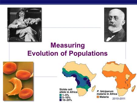AP Biology 2010-2011 Measuring Evolution of Populations.