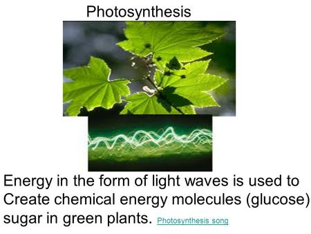 Photosynthesis Energy in the form of light waves is used to