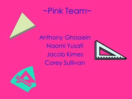 ~Pink Team~ Anthony Ghossein Naomi Yusafi Jacob Kimes Corey Sullivan.