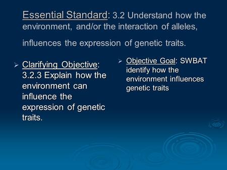 Essential Standard: Essential Standard: 3.2 Understand how the environment, and/or the interaction of alleles, influences the expression of genetic traits.