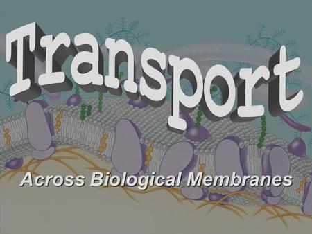 Across Biological Membranes. Review for Transport 1. What are the two parts of a solution? 2. In cells, what is normally the solvent? 3. How would you.
